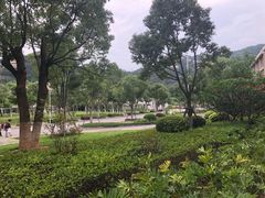 -厦门国家会计学院