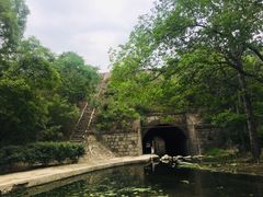 -白水寺森林公园