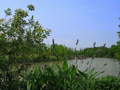 -上海长兴岛郊野公园