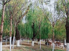 -辽宁大学(崇山校区)