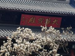 -灵谷景区