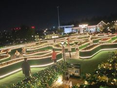 -莫子山公园