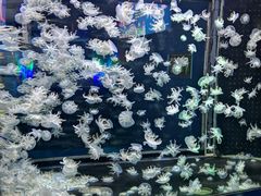 -太平洋海底世界