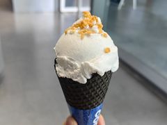 -蔻蔻椰·鲜萃椰子水(欢乐港湾店)