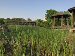 -白塘生态植物园