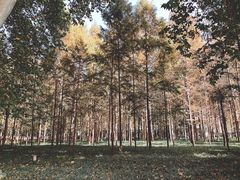 -河南省黄河迎宾馆