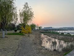 -天津滨海圣光皇冠假日酒店