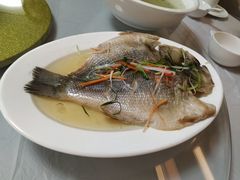 -上海市保健医疗中心