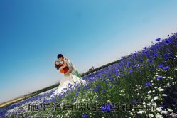 -施华洛婚纱摄影会所(范阳中路店)