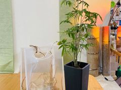 -南枝小馆(银鱼巷店)