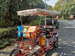 -上海海湾国家森林公园