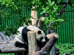 -沈阳森林动物园