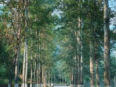 -百里山水画廊