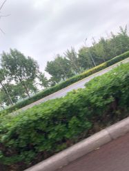 -HEYAN长风荷妍专业脱毛美肤
