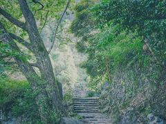 -泽雅景区
