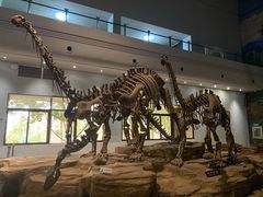 -自贡恐龙博物馆