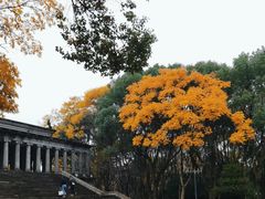 -蠡湖中央公园