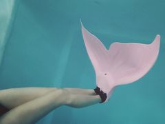 -上海潜殿潜水中心