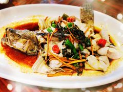 -顺德了能馆(虎门店)