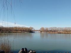 -大兴滨河森林公园