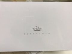 -BLACKSWAN黑天鹅(环球店)