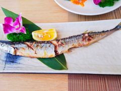 -酒井酱子·深夜食堂(东城汇店)