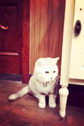 -TWOFACE双面理发馆