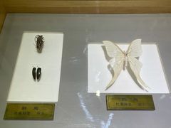 -上海昆虫博物馆
