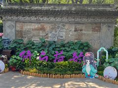 -上海醉白池公园