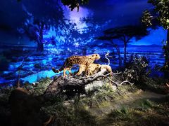 -国家自然博物馆