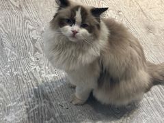 -小时光咖啡馆(北锣鼓巷店)