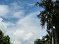 景点-永记生态园