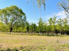 -永定河休闲森林公园