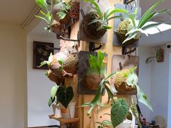 -本無咖啡·BeanWood Coffee