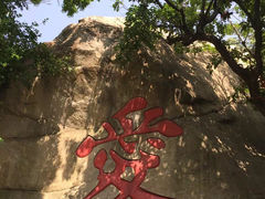 -沂蒙山旅游区云蒙景区(蒙山国家森林公园)