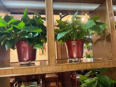 -齐祺渔锅(龙门路黑金店)