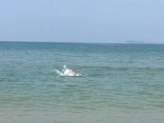 -亚龙湾海底世界