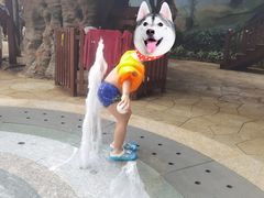 -南宫温泉水世界