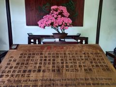 -上海醉白池公园