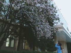 -北京化工大学(东校区)