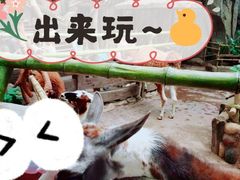 -长鹿旅游休博园