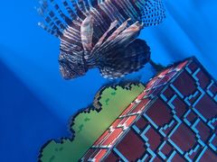 -海合安武汉极地海洋公园