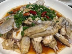 姜葱炒蛏子-魚當家