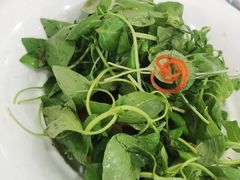 荆芥黄瓜-南阳食府·河南豫菜(南阳驻京办店)