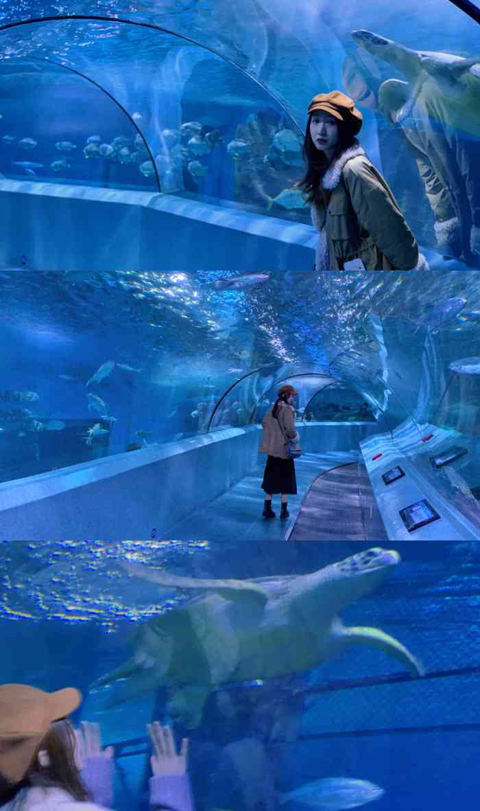 南京海底世界