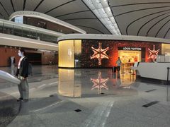 -LV路易威登(大兴国际机场店)
