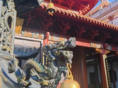 -深圳仙湖植物园