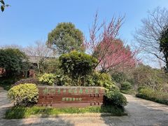 -杭州半山国家森林公园