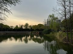 -尚贤河湿地