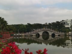 -大屏嶂森林公园